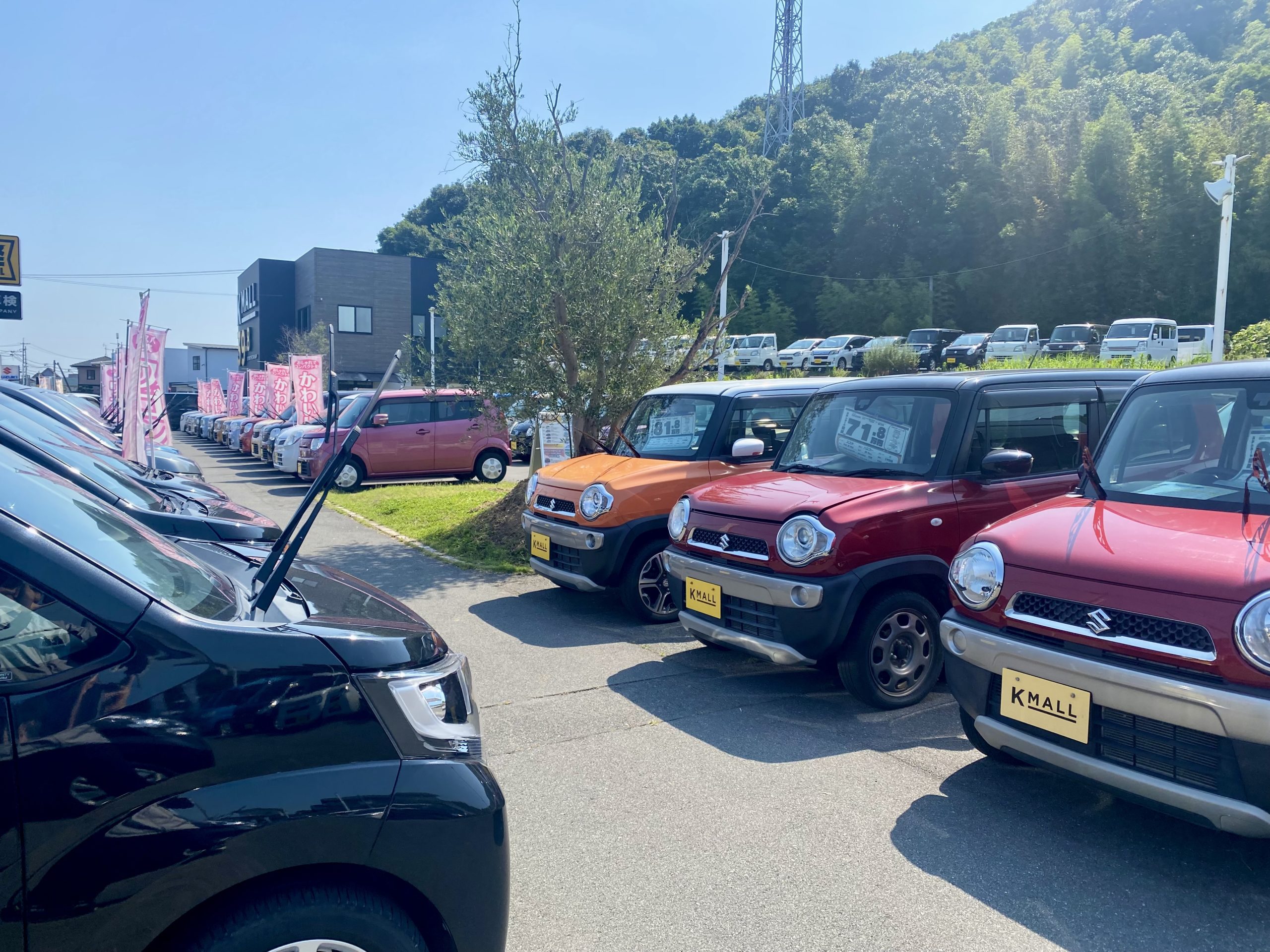 軽39.8万円専門店 軽モール